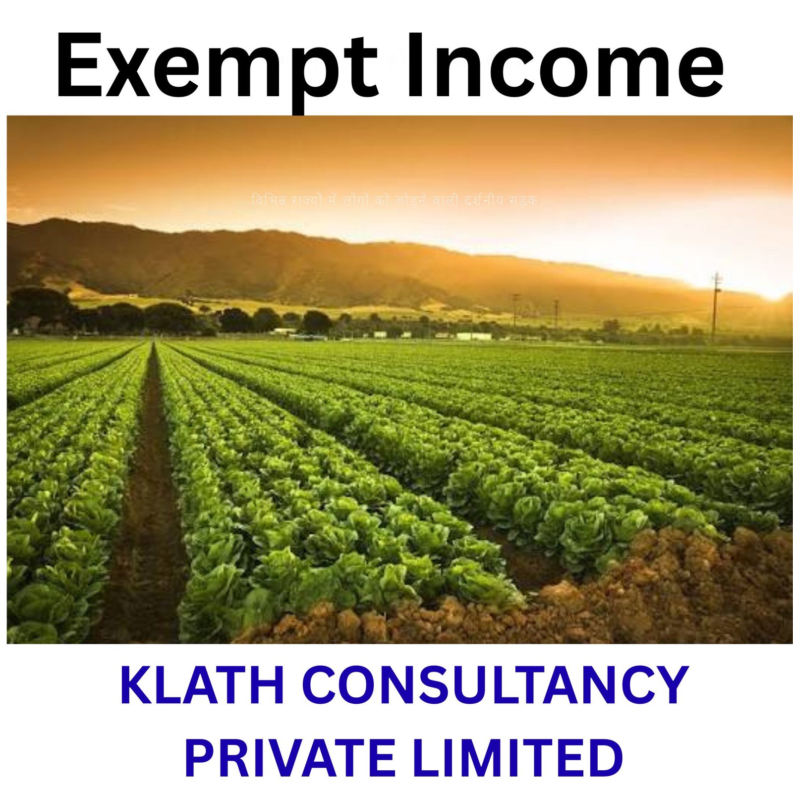 EXEMPT INCOME